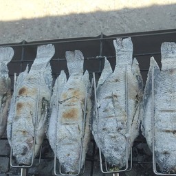 หนุ่ย ปลาเผา