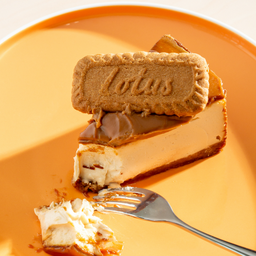 Bisscoff Cheesecake