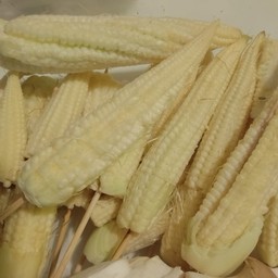 ข้าวโพดอ่อน