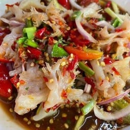 ยำมะม่วงแมงกะพรุน