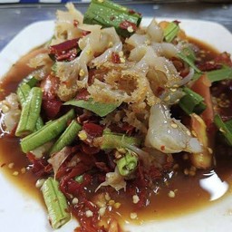 ตำเกาเหลาแมงกะพรุน