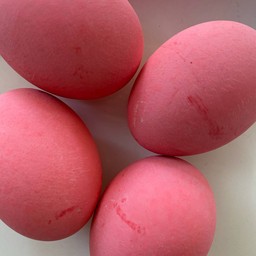 ไข่เยี่ยวม้า