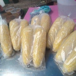 เปิ้ล ข้าวโพดต้ม ทับเที่ยง