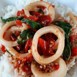 ข้าวกระเพราปลาหมึก