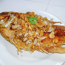 ปลาทับทิมทอดกระเทียม(กลาง)