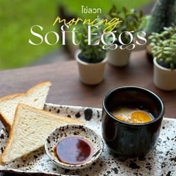 Morning Soft Egg