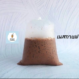 เนสกาแฟบาริสต้า ถุงกระดาษ