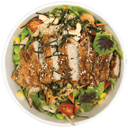 สลัดโบล์วโซบะและหมูนุ่มซอสพอนซึ