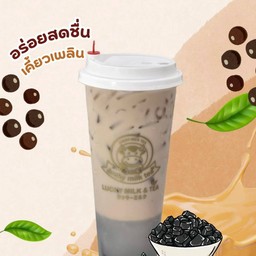 นมสดเฉาก๊วย