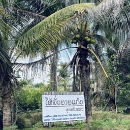 ร้านไส้อั่วยายแก้ว ปัว