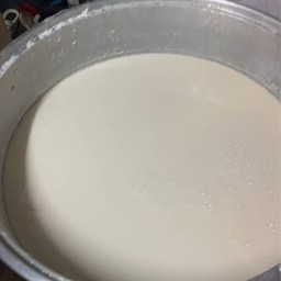 น้ำเต้าหู้นมสด