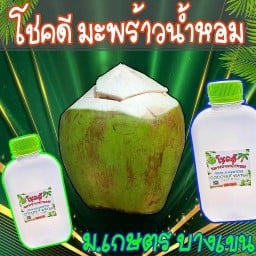 โชคดีมะพร้าวน้ำหอม100% ม.เกษตร สำนักบริการคอม