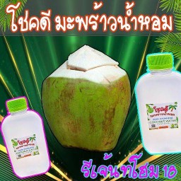 โชคดีมะพร้าวน้ำหอม100% รีเจ้นท์โฮม 18