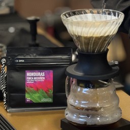 เมล็ด ฮอนดูรัส