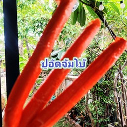 ปูอัดจัมโบ้