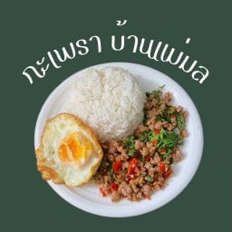 กะเพรา บ้านแม่มล