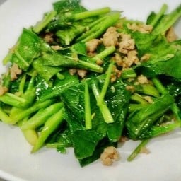 คะน้าหมูสับราดข้าว