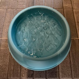 Tiny tank dog community chiangmai