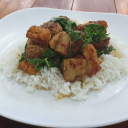 กะเพราหมูกรอบราดข้าว