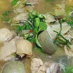 แกงอ่อม