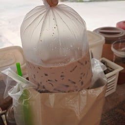 ร่ำรวยกาแฟโบราณ