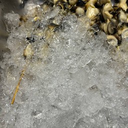 หอยเชอรี่เสียบไม้