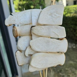 เห็ดออรินจิ