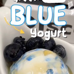 กรีกบลูโยเกิร์ต x บลูเบอร์รี่ ราดน้ำผึ้ง อร่อยมากกก