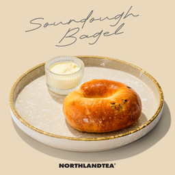 Bagel Sourdough Cranberry