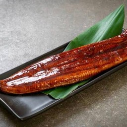 ปลาไหลย่าง