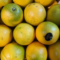 ส้มเช้งใต้หวัน 2.5 กก /กล่อง