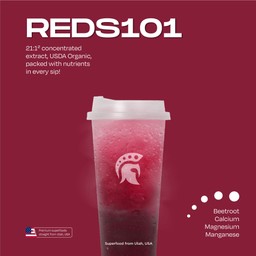 REDS101