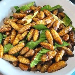 แมลงทอด everyday สาขา1