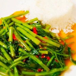 ข้าวราด - ผัดผักบุ้ง