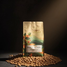 [MIXED] JOYNFUL - SIRINYA - anaerobic honey