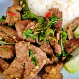 KH08.16 ผัดกะเพราตับหมู 50 กรัม ราดข้าว