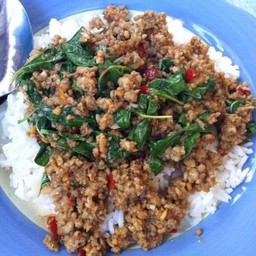 กะเพราหมูสับราดข้าว