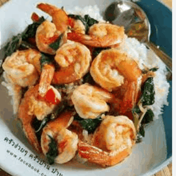 กระเพรากุ้ง