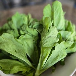 ตั้งโอ๋