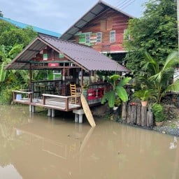 ร้านใบยี่หร่า