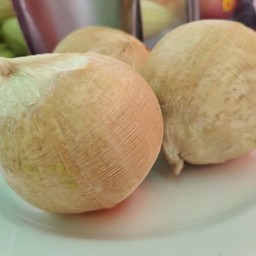 มะพร้าว