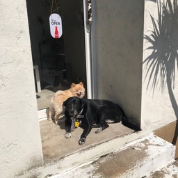 น้องหมูยอแฟนCEOเองค้า