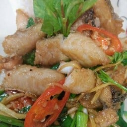 06ข้าวเนื้อปลาดอลลี่ผัดขึ้นฉ่าย