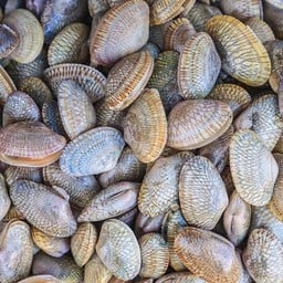 จอย อาหารทะเลสด ตลาด OM Night