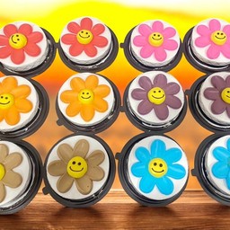 ซีรี่ เค้ก ฤดูหนาว