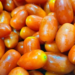 มะเขือเทศราชินี