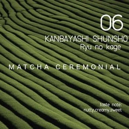 06 Kanbayashi Shunsho - Ryu no kage