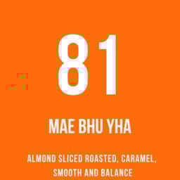 Rosetta Concept Store {Slow Combo} Rosetta Concept Store