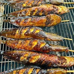 ปลาดุกย่าง