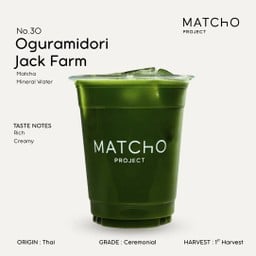 No.30 Oguramidori Jack Farm Clear Usucha